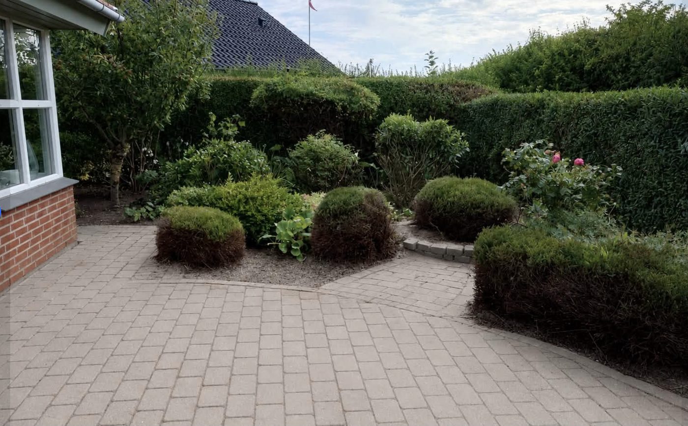 Have ved Vesterhavet med vindtolerante planter
